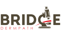 bridge dermpath logo